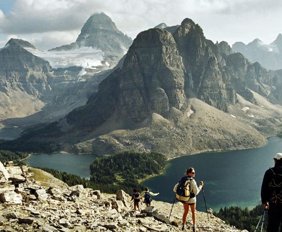 rocheuses canadiennes - randonnée pédestre - voyage d'aventure - chinook aventure - voyage guidé - voyage randonnée